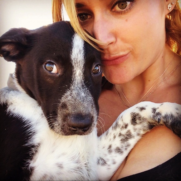 Meet your Posher, Rikki - Picture 1 of 1